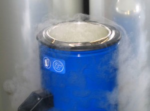 liquid-nitrogen