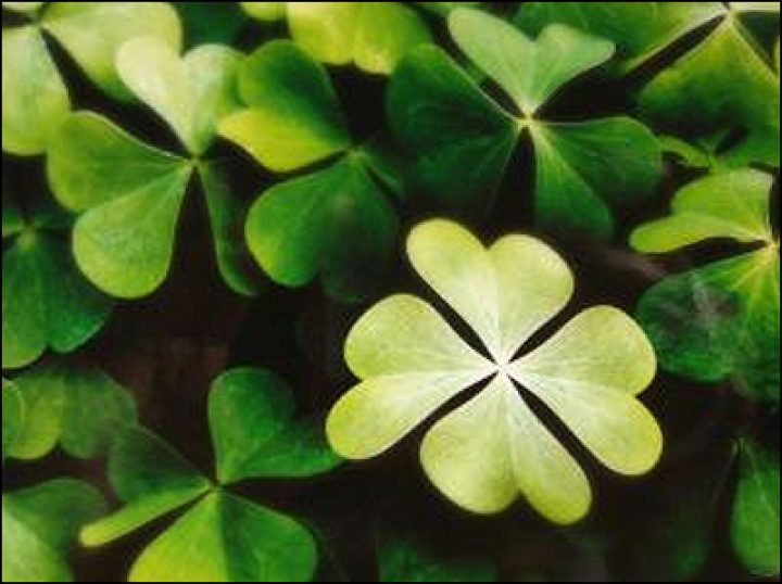 7 Ways to Make Your Own Luck