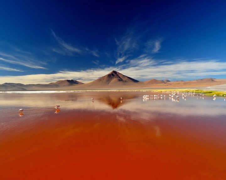 The Most Bizarre Lakes Known to Man
