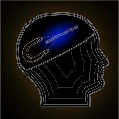 Top 5 Most Weird Biological Anomalies in Humans