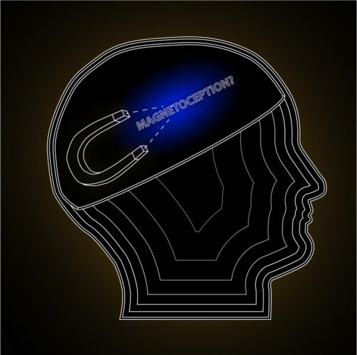 Top 5 Most Weird Biological Anomalies in Humans