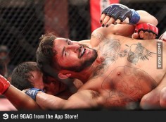 5 Ridiculously Amazing Photogenic Pictures