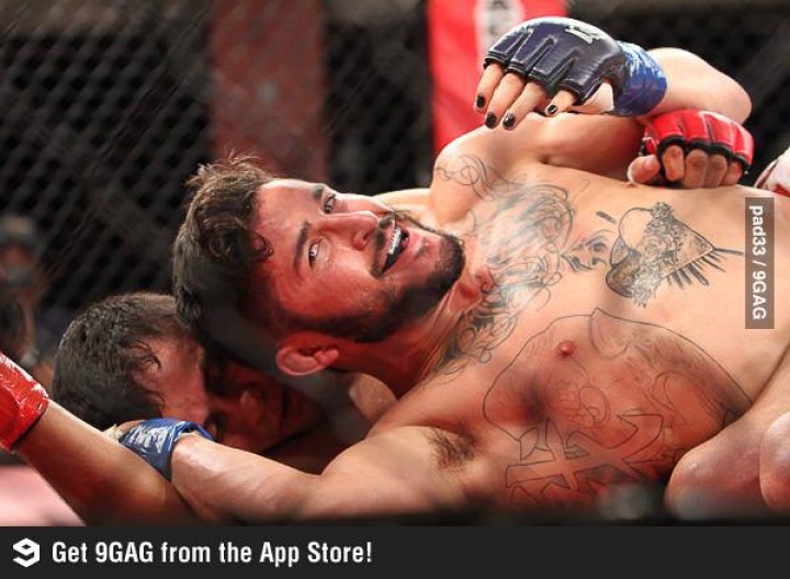 5 Ridiculously Amazing Photogenic Pictures