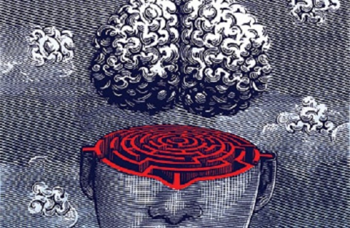 The Most Amazing Unsolved Mysteries of the Human Brain