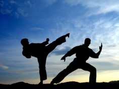 The Most Hilarious Martial Arts Myths Which Are Real
