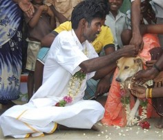 The Most Weird People Who Married Animals