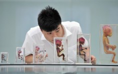 10 Weird, Amazing yet Creepy Facts about the Human Body