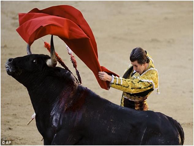 6 Misconceptions About Animals